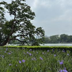 Vietnam
